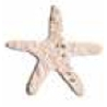 Seed Paper Shape Bookmark - 5 Pointed Starfish Style Shape